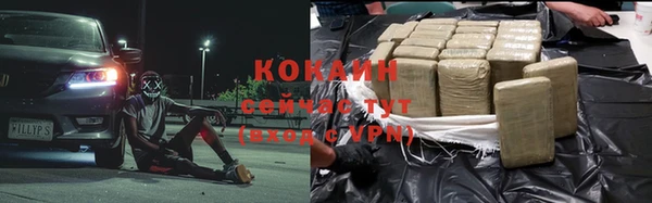 шишки Киреевск