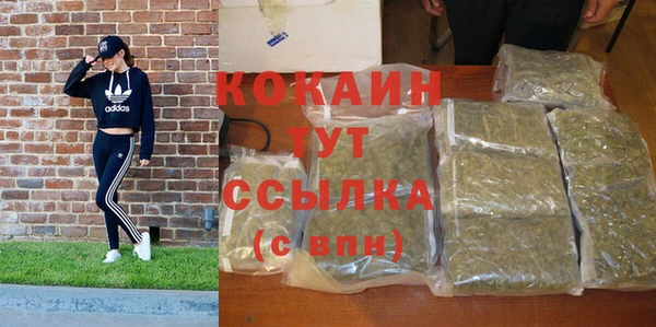 spice Кинешма