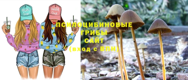 spice Кинешма