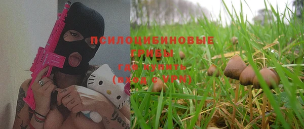 шишки Киреевск