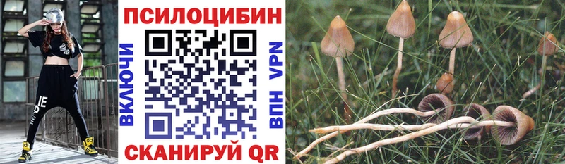 Псилоцибиновые грибы GOLDEN TEACHER  Елец 