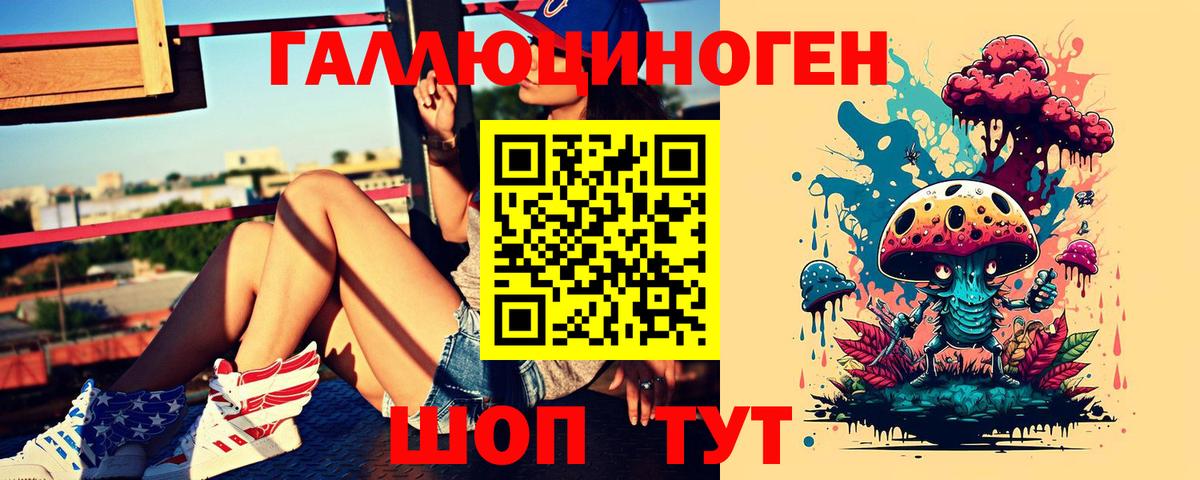 Галлюциногенные грибы Psilocybe Елец